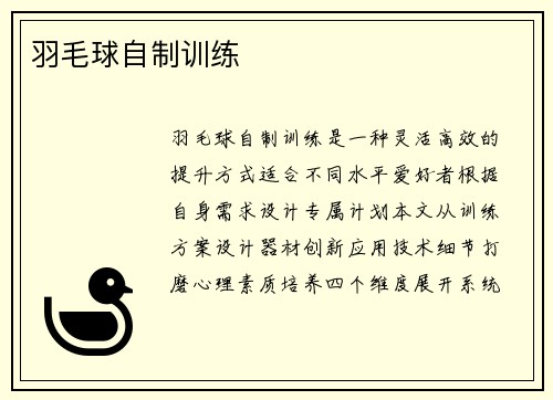 羽毛球自制训练
