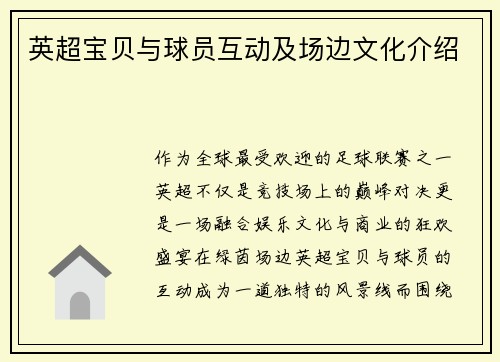 英超宝贝与球员互动及场边文化介绍